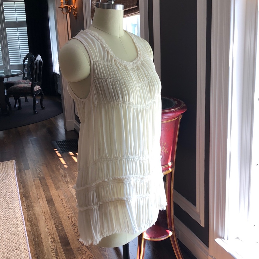 Medium Theory Silk Tunic Moline Georgette Top.